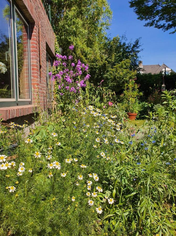 Bed and Breakfast De Vliegende Vlinder à Nederweert Extérieur photo